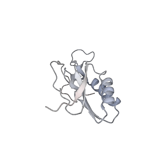 13956_7qgn_Z_v1-0
Structure of the SmrB-bound E. coli disome - stalled 70S ribosome