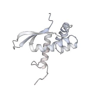 13956_7qgn_a_v1-0
Structure of the SmrB-bound E. coli disome - stalled 70S ribosome