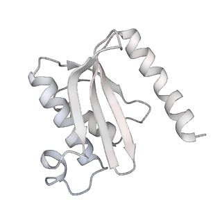 13956_7qgn_b_v1-0
Structure of the SmrB-bound E. coli disome - stalled 70S ribosome