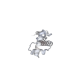 13956_7qgn_d_v1-0
Structure of the SmrB-bound E. coli disome - stalled 70S ribosome