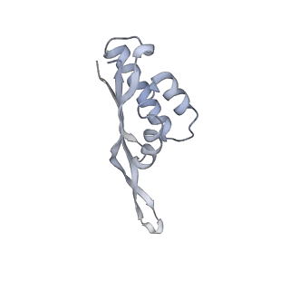 13956_7qgn_f_v1-0
Structure of the SmrB-bound E. coli disome - stalled 70S ribosome
