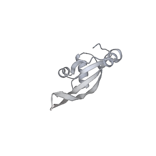 13956_7qgn_g_v1-0
Structure of the SmrB-bound E. coli disome - stalled 70S ribosome