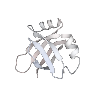 13956_7qgn_i_v1-0
Structure of the SmrB-bound E. coli disome - stalled 70S ribosome