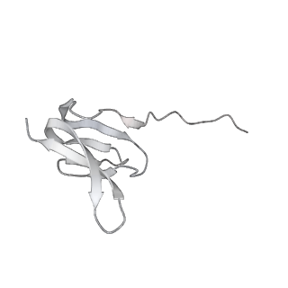 13956_7qgn_j_v1-0
Structure of the SmrB-bound E. coli disome - stalled 70S ribosome