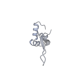 13956_7qgn_k_v1-0
Structure of the SmrB-bound E. coli disome - stalled 70S ribosome