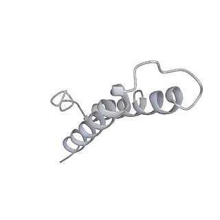 13956_7qgn_l_v1-0
Structure of the SmrB-bound E. coli disome - stalled 70S ribosome