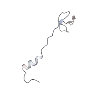 13956_7qgn_n_v1-0
Structure of the SmrB-bound E. coli disome - stalled 70S ribosome
