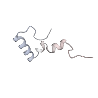 13956_7qgn_p_v1-0
Structure of the SmrB-bound E. coli disome - stalled 70S ribosome
