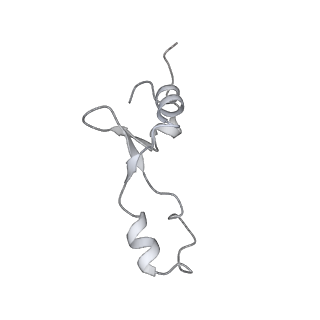13956_7qgn_q_v1-0
Structure of the SmrB-bound E. coli disome - stalled 70S ribosome