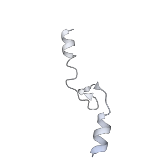 13956_7qgn_s_v1-0
Structure of the SmrB-bound E. coli disome - stalled 70S ribosome