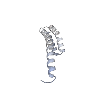 13956_7qgn_u_v1-0
Structure of the SmrB-bound E. coli disome - stalled 70S ribosome