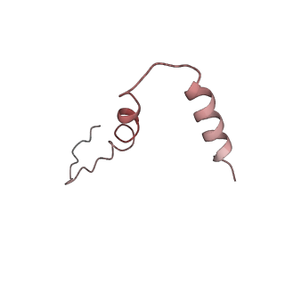 13956_7qgn_v_v1-0
Structure of the SmrB-bound E. coli disome - stalled 70S ribosome