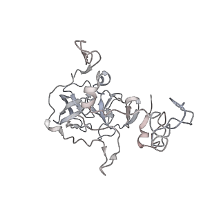 13959_7qgu_C_v1-2
Structure of the B. subtilis disome - stalled 70S ribosome