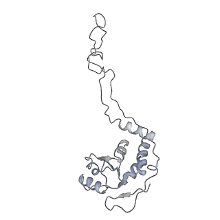 13959_7qgu_E_v1-2
Structure of the B. subtilis disome - stalled 70S ribosome