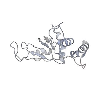 13959_7qgu_F_v1-2
Structure of the B. subtilis disome - stalled 70S ribosome
