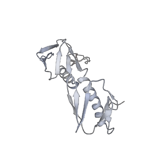 13959_7qgu_G_v1-2
Structure of the B. subtilis disome - stalled 70S ribosome