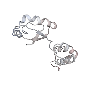 13959_7qgu_I_v1-2
Structure of the B. subtilis disome - stalled 70S ribosome