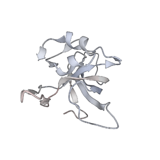 13959_7qgu_K_v1-2
Structure of the B. subtilis disome - stalled 70S ribosome