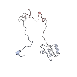 13959_7qgu_L_v1-2
Structure of the B. subtilis disome - stalled 70S ribosome