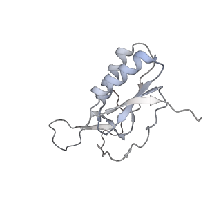 13959_7qgu_M_v1-2
Structure of the B. subtilis disome - stalled 70S ribosome