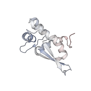 13959_7qgu_N_v1-2
Structure of the B. subtilis disome - stalled 70S ribosome