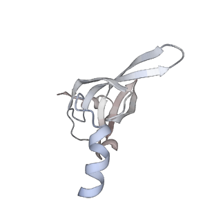13959_7qgu_P_v1-2
Structure of the B. subtilis disome - stalled 70S ribosome