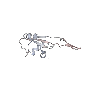 13959_7qgu_T_v1-2
Structure of the B. subtilis disome - stalled 70S ribosome