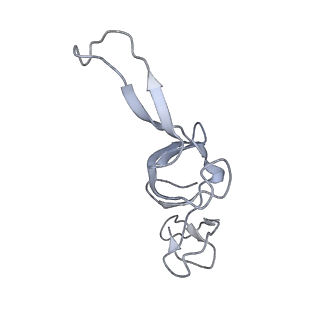 13959_7qgu_U_v1-2
Structure of the B. subtilis disome - stalled 70S ribosome
