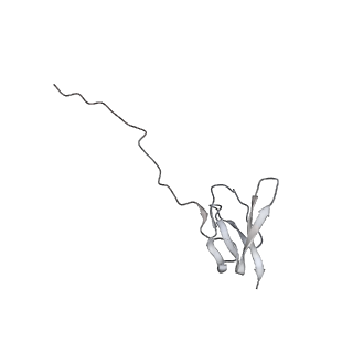 13959_7qgu_V_v1-2
Structure of the B. subtilis disome - stalled 70S ribosome