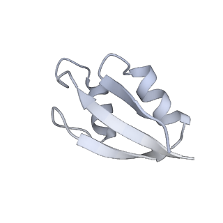 13959_7qgu_a_v1-2
Structure of the B. subtilis disome - stalled 70S ribosome
