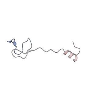 13959_7qgu_b_v1-2
Structure of the B. subtilis disome - stalled 70S ribosome