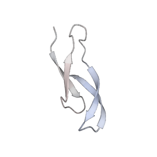 13959_7qgu_c_v1-2
Structure of the B. subtilis disome - stalled 70S ribosome