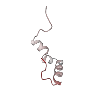 13959_7qgu_d_v1-2
Structure of the B. subtilis disome - stalled 70S ribosome