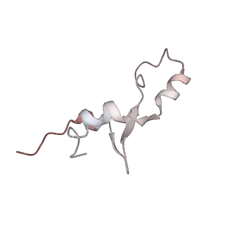 13959_7qgu_e_v1-2
Structure of the B. subtilis disome - stalled 70S ribosome