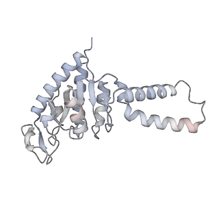 13959_7qgu_g_v1-2
Structure of the B. subtilis disome - stalled 70S ribosome
