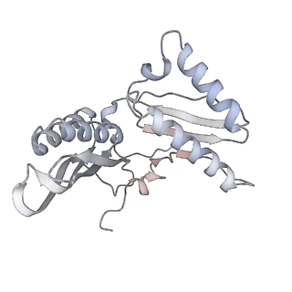 13959_7qgu_h_v1-2
Structure of the B. subtilis disome - stalled 70S ribosome