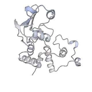 13959_7qgu_i_v1-2
Structure of the B. subtilis disome - stalled 70S ribosome