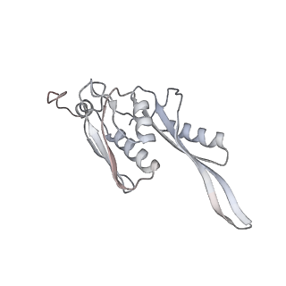 13959_7qgu_j_v1-2
Structure of the B. subtilis disome - stalled 70S ribosome