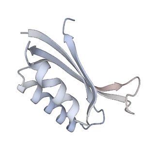 13959_7qgu_k_v1-2
Structure of the B. subtilis disome - stalled 70S ribosome