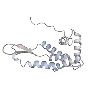 13959_7qgu_l_v1-2
Structure of the B. subtilis disome - stalled 70S ribosome
