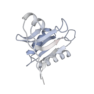 13959_7qgu_m_v1-2
Structure of the B. subtilis disome - stalled 70S ribosome