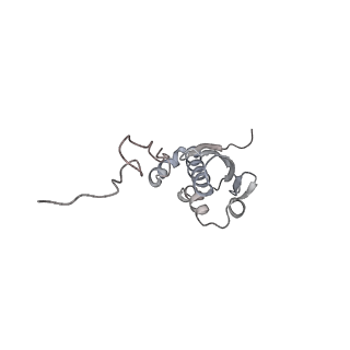13959_7qgu_n_v1-2
Structure of the B. subtilis disome - stalled 70S ribosome