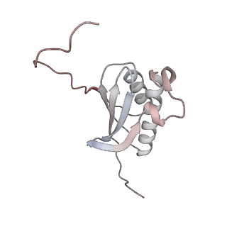 13959_7qgu_p_v1-2
Structure of the B. subtilis disome - stalled 70S ribosome