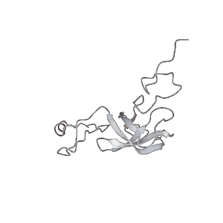 13959_7qgu_q_v1-2
Structure of the B. subtilis disome - stalled 70S ribosome