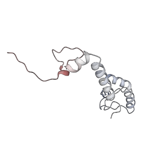 13959_7qgu_r_v1-2
Structure of the B. subtilis disome - stalled 70S ribosome