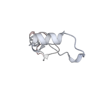 13959_7qgu_s_v1-2
Structure of the B. subtilis disome - stalled 70S ribosome