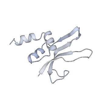 13959_7qgu_u_v1-2
Structure of the B. subtilis disome - stalled 70S ribosome