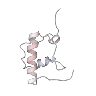 13959_7qgu_w_v1-2
Structure of the B. subtilis disome - stalled 70S ribosome