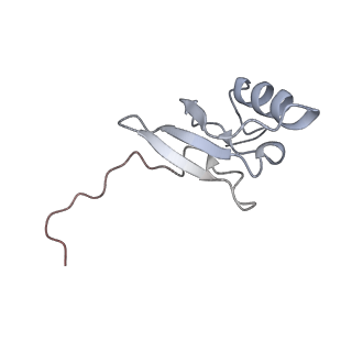 13959_7qgu_x_v1-2
Structure of the B. subtilis disome - stalled 70S ribosome