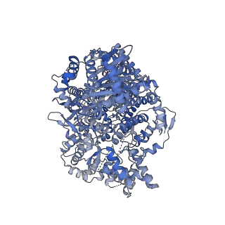 18390_8qgt_A_v1-0
5'vRNA-bound Hantaan virus polymerase in monomeric intermediate state